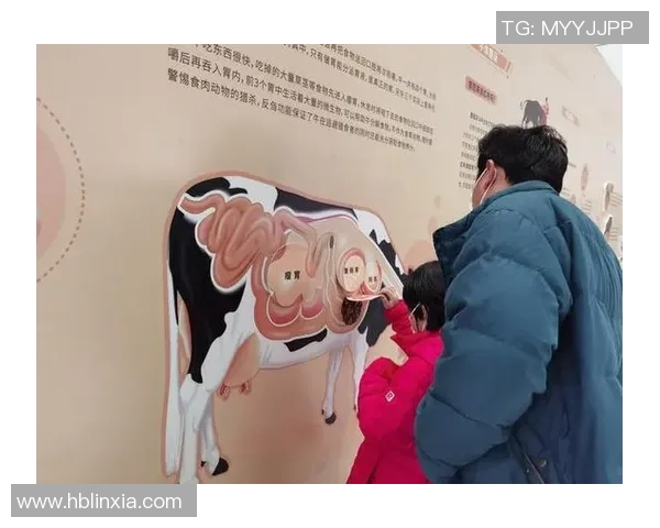 你不知道的公牛:十大冷知识大揭秘