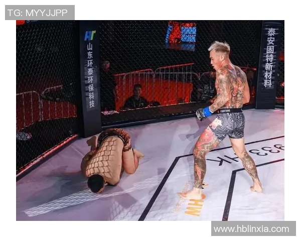 MMA格斗之夜：KO瞬间集锦