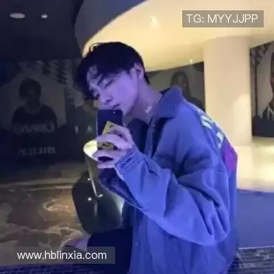 凤鲁庄